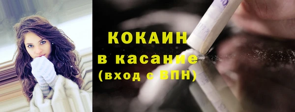 стафф Арсеньев