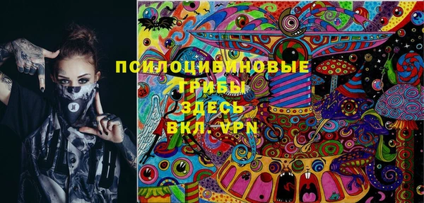 стафф Арсеньев