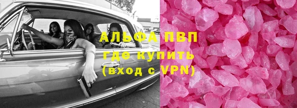 стафф Арсеньев