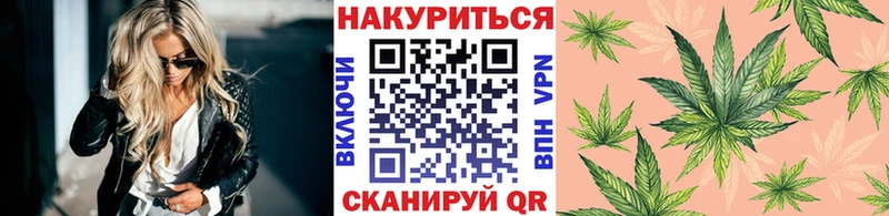 мориарти телеграм OMG ONION Тында где найти Канабис Ganja